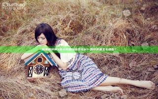 暗黑破坏神3圣天使格挡流怎么玩？散件装备怎么搭配？
