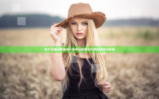 地下交通站便捷出行指南 让你的出行更加高效与舒适 地下交通站便捷出行指南 让你的出行更加高效与舒适