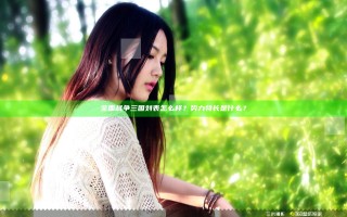 全面战争三国刘表怎么样？势力特长是什么？