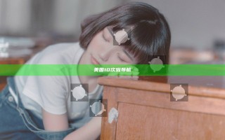美国10次啦导航