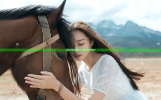 全面战争三国家兵作用是什么 军事科技作用效果详解