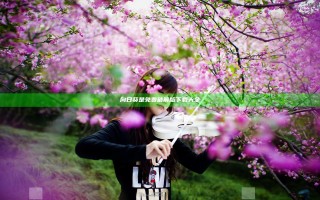 向日葵是免费破解版下载大全
