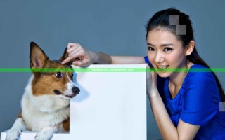 苹果7指纹解锁不灵了_苹果7指纹解锁不灵了怎么办