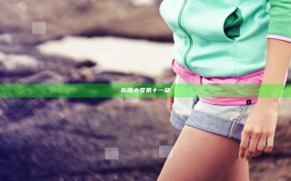 翁熄小莹第十一部