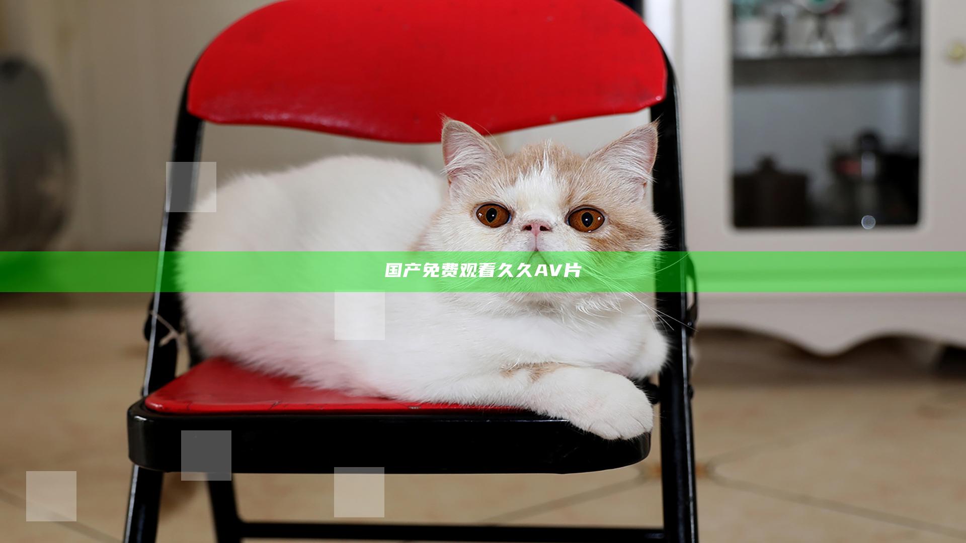 国产免费观看久久AV片